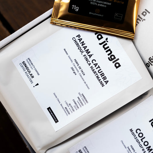 Box Café de especialidad