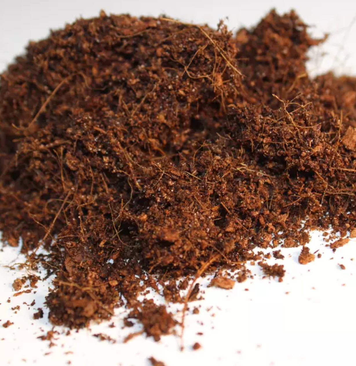 Fibra de Coco 1L