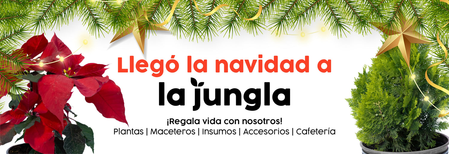 LLEGÓ LA NAVIDAD A LA JUNGLA STORE