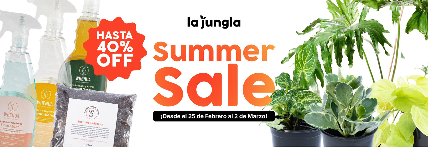 SUMMER SALE LA JUNGLA STORE