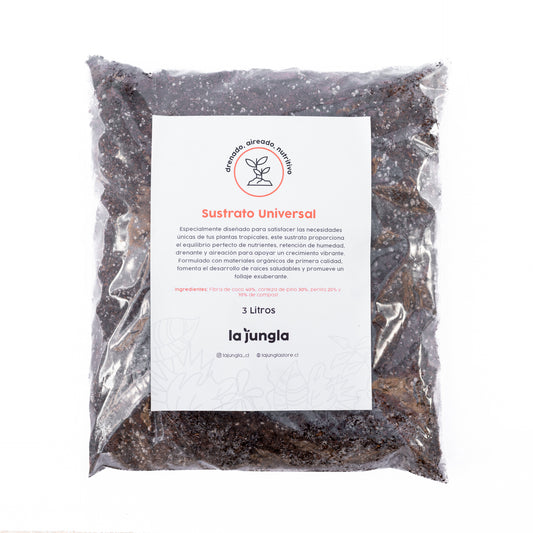 BOX NAVIDEÑO - Cuidado completo para tus plantas