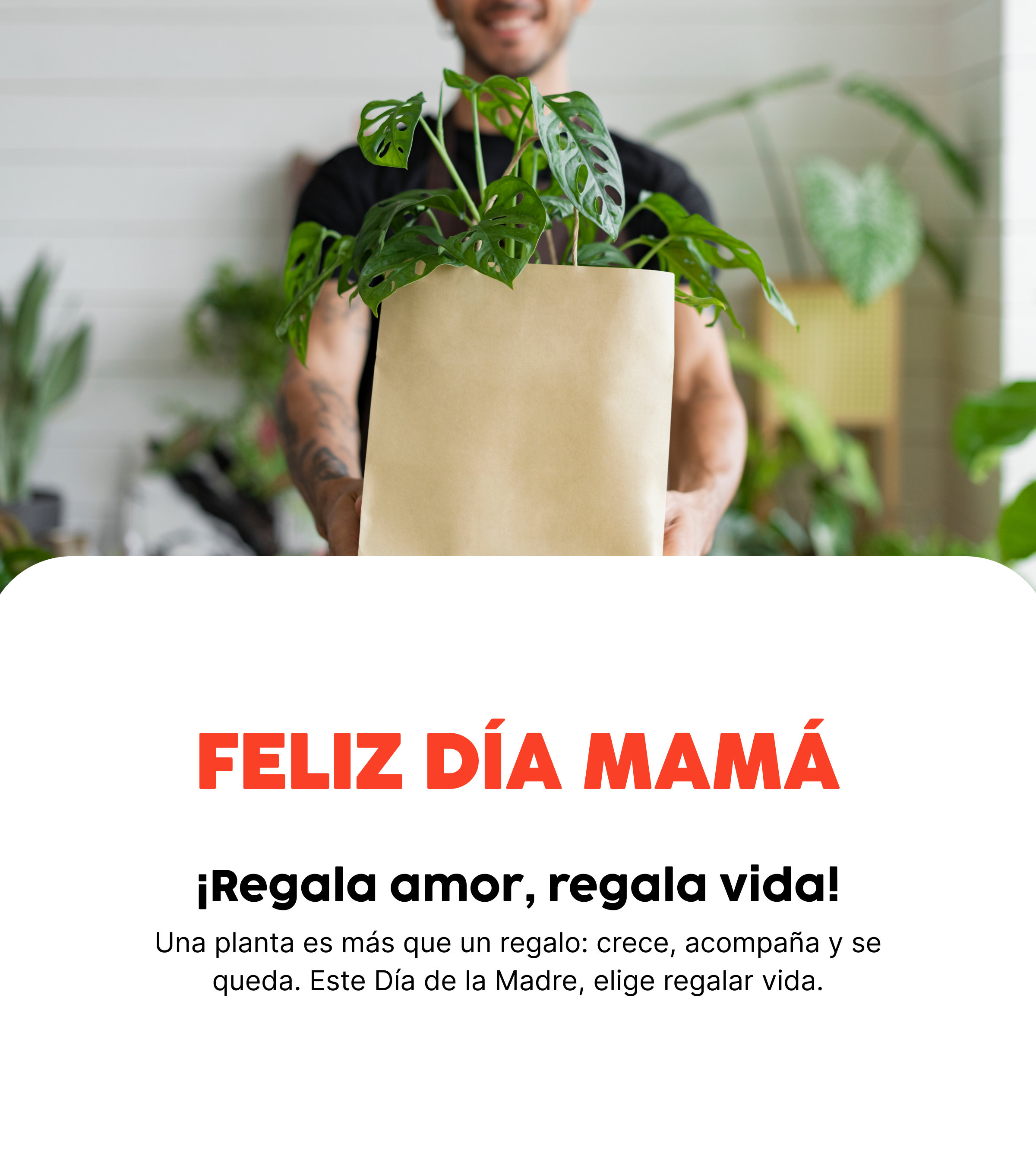 Mobile Banner