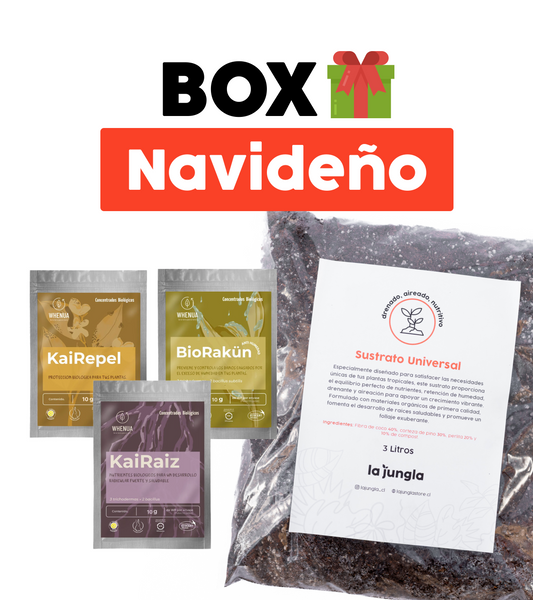 BOX NAVIDEÑO - Cuidado completo para tus plantas